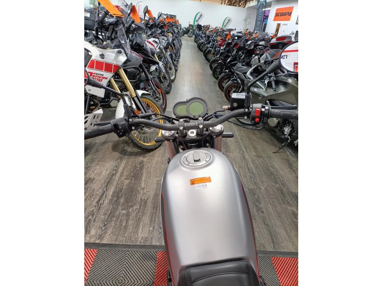 BENELLI LEONCINO 500
